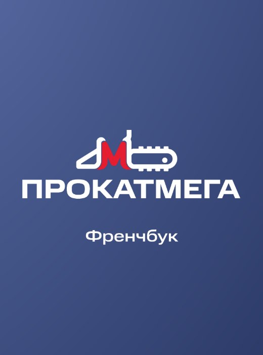Франчбук франшизы — разворот документа